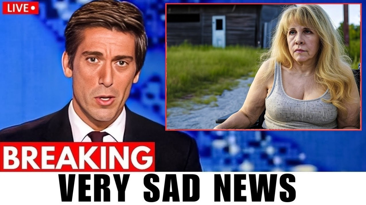 Stevie Nicks Is Now About 77, How She Lives Is Sad