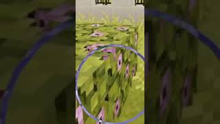 Part 3 Nganterin Ubi Ungu Ke Rumah Tante Mora シ