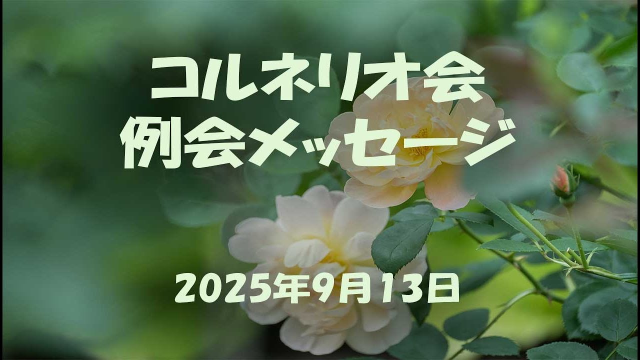 YouTube player