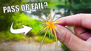 Ultralight Fishing 1-Hour Lure Test: Hideup COIKE Mini