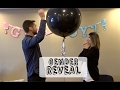 GENDER REVEAL PARTY | BOY OR GIRL?