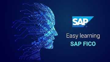 Ticket of Individual Payment in APP F110 (Video 43) | SAP FICO Tutorial | SAP FICO Training