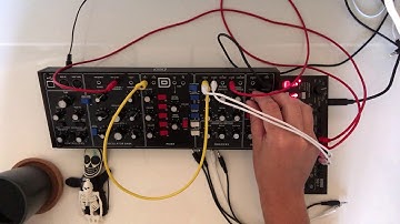 Experience 67 • One Synth Session 0009 • Korg • SQ-1 • Behringer • Model D