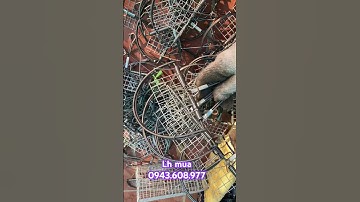 BÁN NGUYỆT KẸP CHIM CÒ CHUỘT KHUNG THÉP CHẮC CHẮN GIÁ SIÊU RẺ