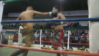 Aeca - Galos De Briga Desafio Mt X Kb Eduardo X Andre