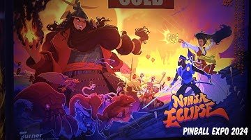 Experiencing A Ninja Eclipse [Turner Pinball]
