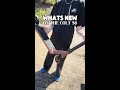 Seen what's new on Colt S6 Complete Scooter? #Scootering #CompleteScooter #freestylescooter