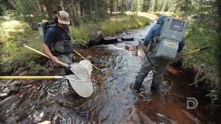 Protecting cutthroat trout in Grand County, Colorado