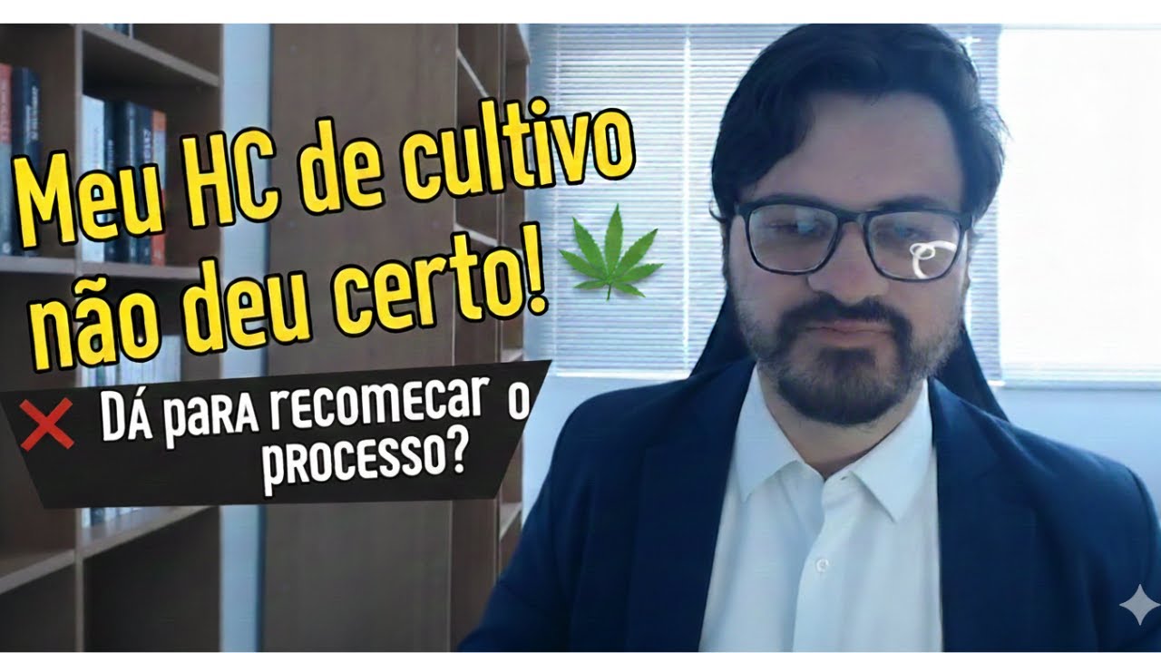 O QUE FAZER SE EU PERDER O PROCESSO DO HC DE CULTIVO? #advogado