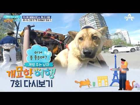 반려견도 자전거를 타는 캐나다! 봉구의 첫 &amp;#39;펫 트레일러&amp;#39; 탑승기! | 개밥주는 남자 7회
