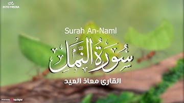 ما تيسر من سورة النمل .. تلاوة مؤثرة تخشع لها القلوب | القارئ معاذ العيد