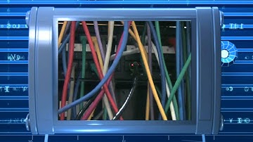 TechEdge Review EVO6 Self-Tracing Patch Cable