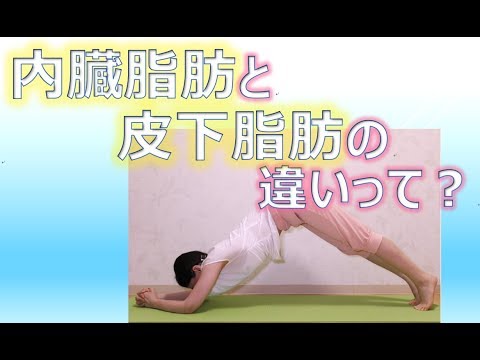 あなたのお腹は内臓脂肪?それとも皮下脂肪?内臓脂肪と皮下脂肪の違いって?_ ダイエットサプリ