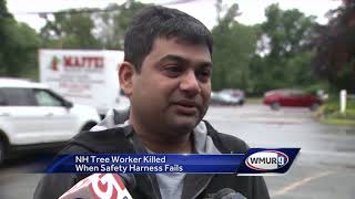 NH man tree worker dies in fall
