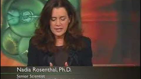 Stem Cells and the End of Aging Part 3 of 6