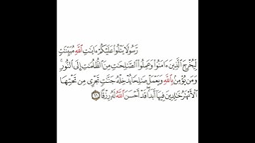 سورة الطلاق 6 القسم السادس تكرار كيفي من .. رسولا يتلو عليكم آيات  .. إلى ..  قد أحسن الله له رزقا
