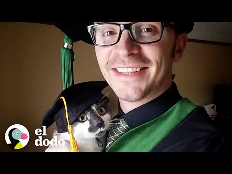 Gata con necesidades especiales le roba el corazón a su papá | El Dodo hqdefault