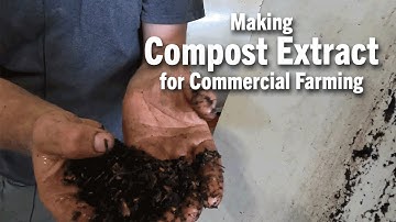Making Compost Extract for Commercial Farming