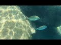 Snorkeling on Gran Canaria Puerto Rico with Chill-Out Relaxing Music