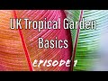 UK Tropical Garden Basics 1: Intro and Plant Guide