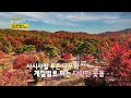 연수와 함께 즐기는 푸릇푸릇 수목원 나들이  [박원숙의 같이 삽시다 2021] | KBS 231126 방송