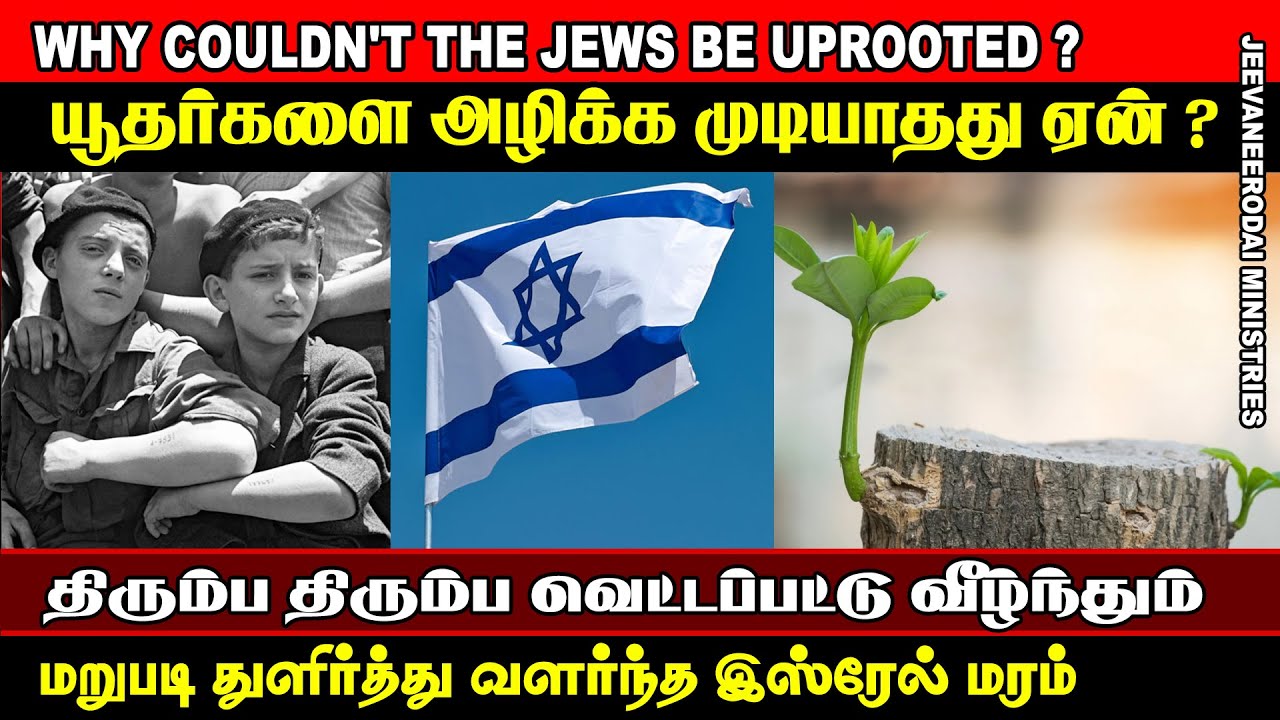 Why couldn't The Jews be Uprooted ? | PART 4 | SAMSONPAUL