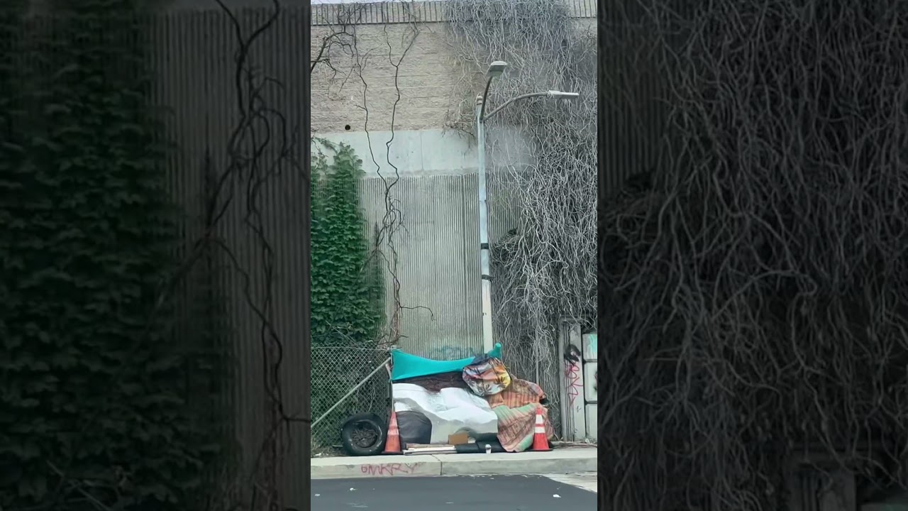 Touring Los Angeles Hoods - Dangerous Areas In 4K