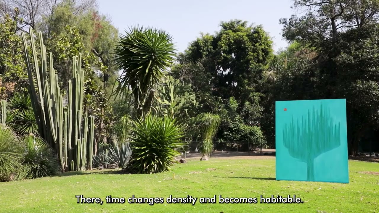 Horizontes de Sentido | Yoab Vera en el Museo Dolores Olmedo