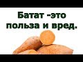 Батат  - что это, а также польза и вред сладкого картофеля.