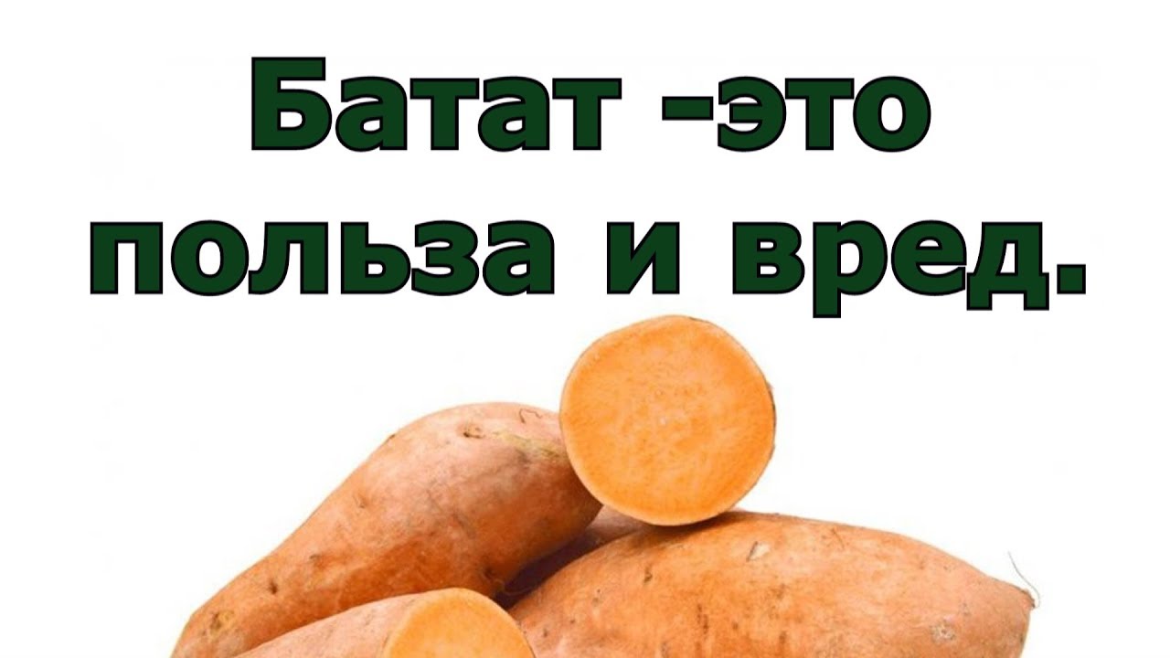 Разновидности батата: крупный, маленький, скинченный, спиральный и другие способы обработки