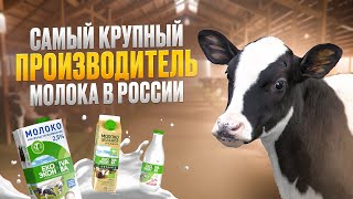 Крупнейший производитель МОЛОКА в России - "ЭкоНива". Путь молока от поля до прилавка. Часть первая.