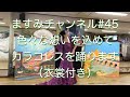 カラコレス衣装付きで踊ります ますみチャンネル #45