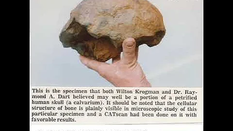Mudfossils of the 1980's... Ed Conrad