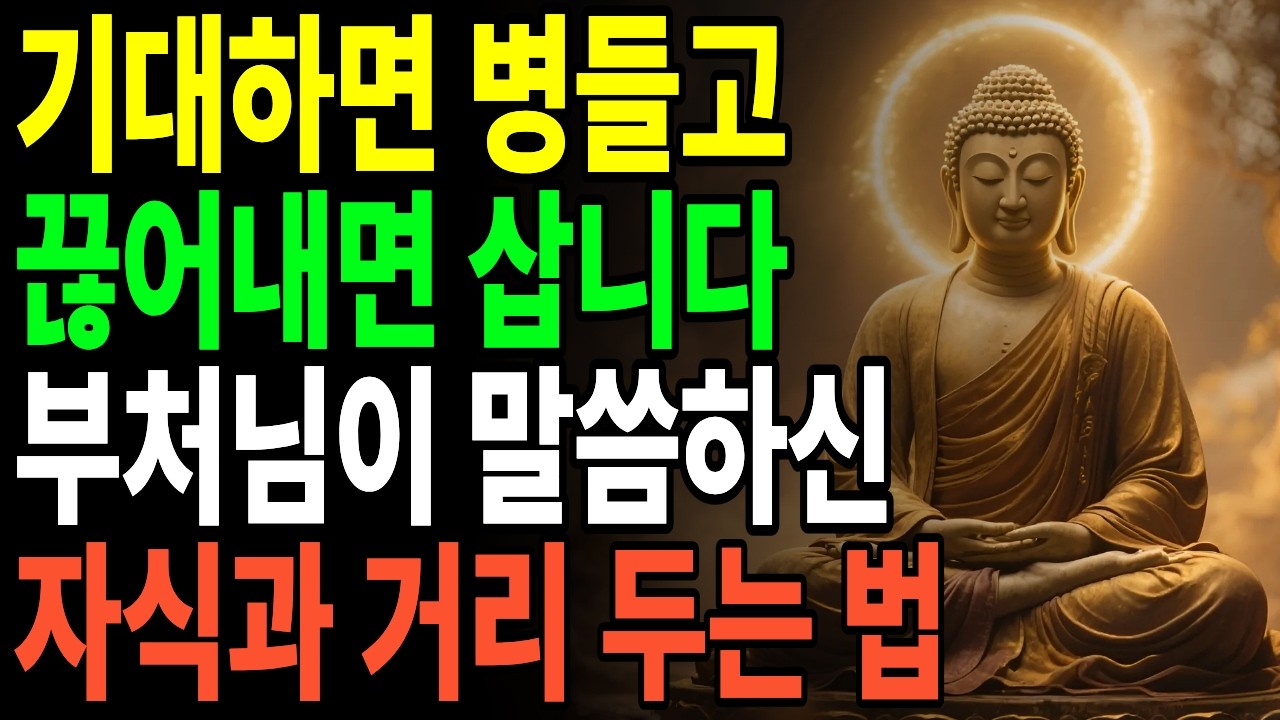 부처님이 말씀하신 '나를 지키는 법': 자식의 눈치를 보며 사는 노후는 이미 지옥입니다