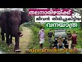 Elephant Attack At Wayanad Wildlife Sanctuary||കാട്ടാനയുടെ മുന്നിൽ പെട്ടപ്പോൾ ||Tholpetty Safari