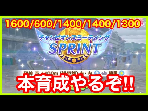 【ウマ娘】ライブ新情報宇宙最速考察枠！チャンミ最強オグリキャップ育成いくぞ！【チャンピオンズミーティングSPRINT】