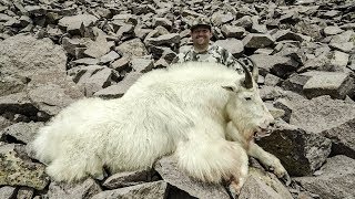 Hunting Giant Mountain Goats in Utah!