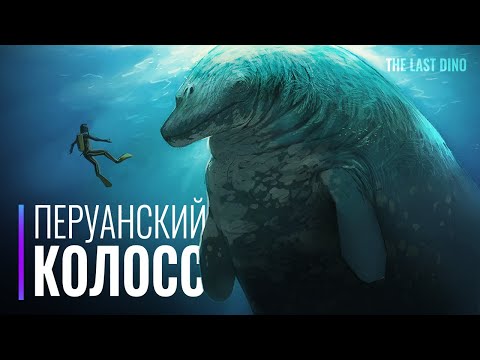 Видео: Новый Рекордсмен по размерам - Больше Синего кита? Самый тяжелый в истории нашей планеты?