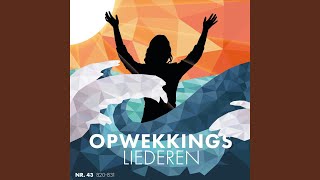 Video thumbnail of "Stichting Opwekking - Opwekking 822 - Mijn anker - CD43"