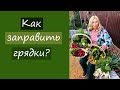 Как заправить грядки? И многое другое