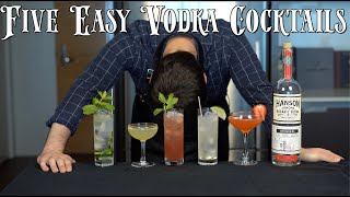The 5 Easiest VODKA Cocktails