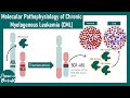 BCR-ABL Translocation in CML | Pathogenesis &amp; Molecular Basis | Animated biology with Arpan