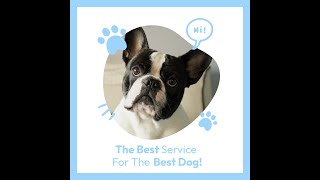 Free Vet Clinic Promotion Video Template (Customizable) - FlexClip