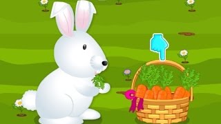 Happy Bunny Caring - Animal Games For Kids Full HD screenshot 2