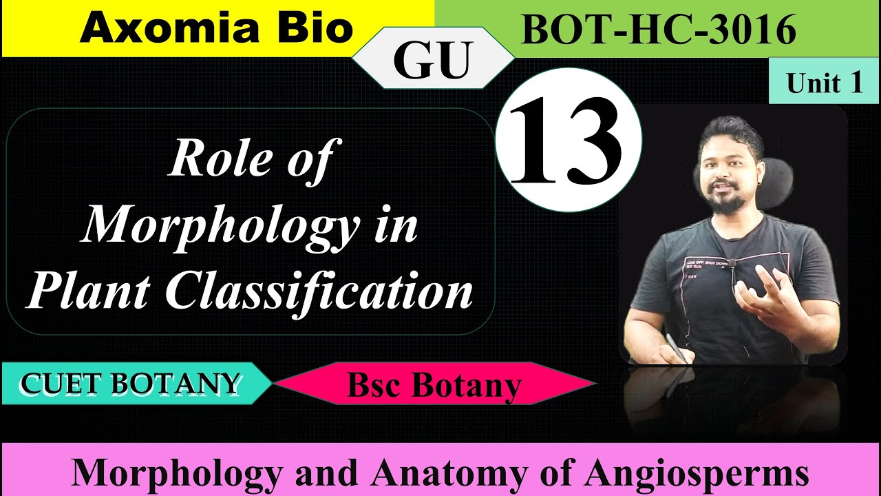 Role of morphology in plant classification| Bsc Botany 3rd sem| CUET-PG| Dr. Rajib Borah| Axomia Bio