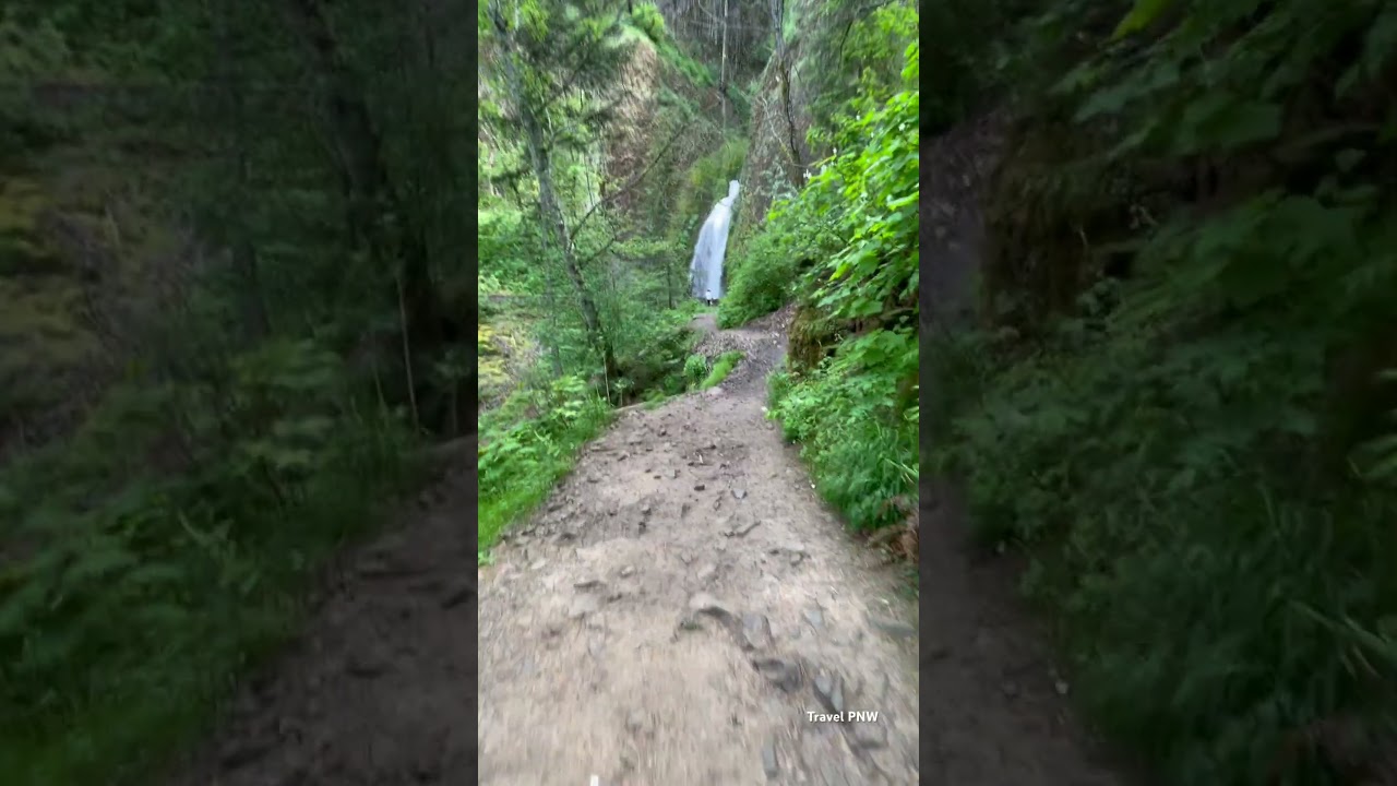 Wahkeena Falls in Oregon