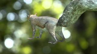 squirrel 360