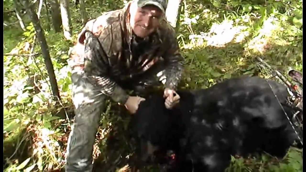 Wisconsin Black Bear Bow Hunt YouTube