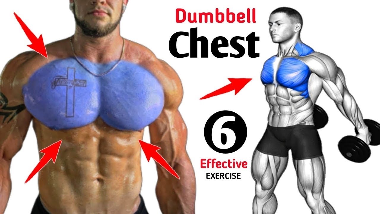 Chest Workout for Beginners | No Gym, No Problem! - YouTube