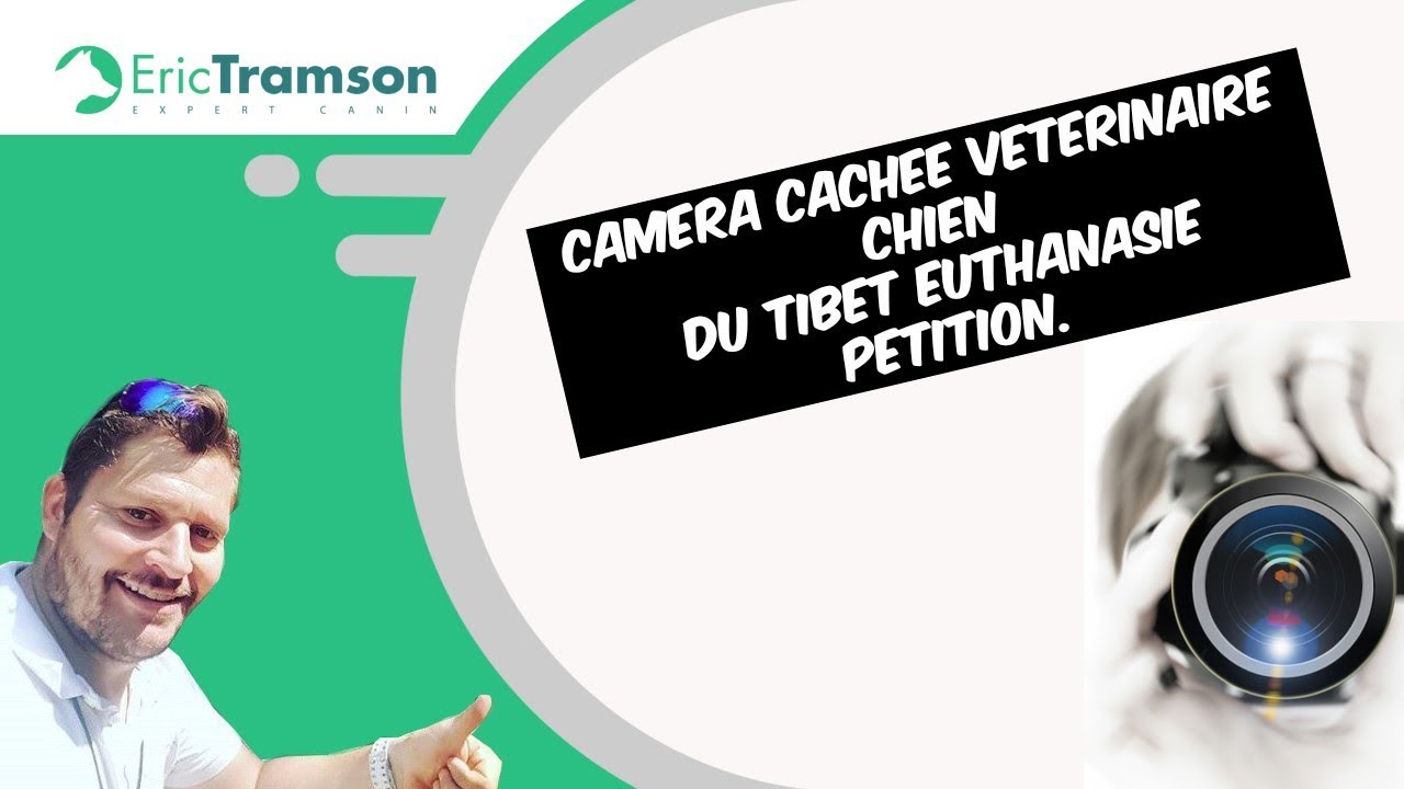 Caméra cachée avec un vétérinaire qui à euthanasié 2 chiens de race Dogue du tibet - YouTube